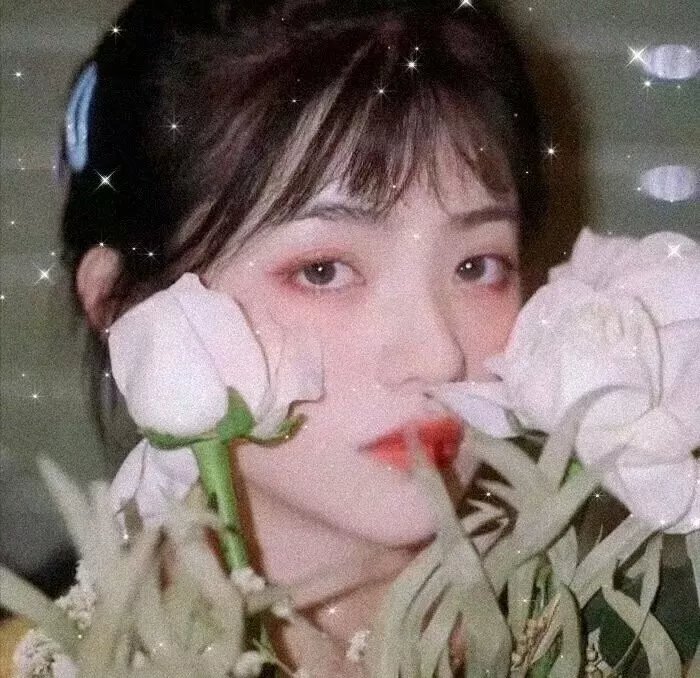 尸心疯
